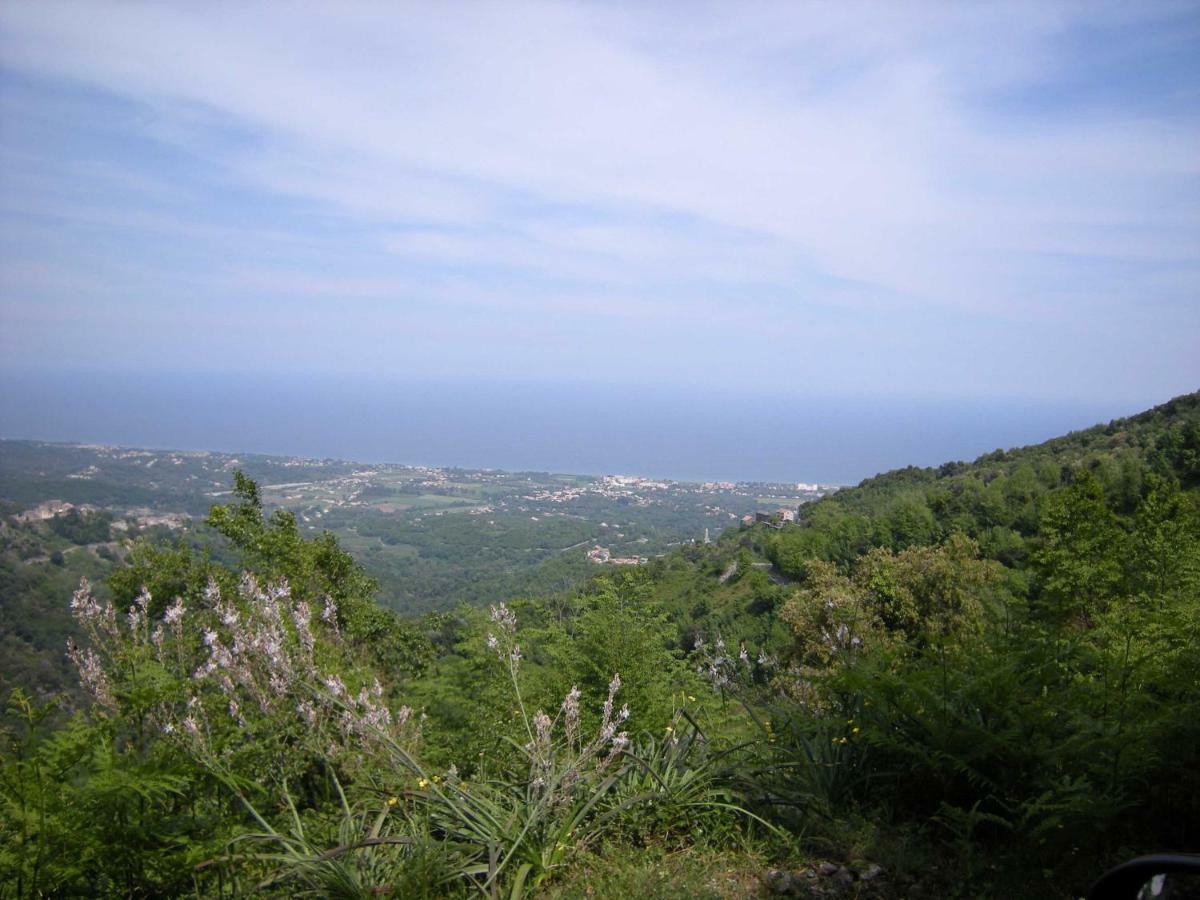 Sole E Ventu 50Qm Διαμέρισμα San-Giovanni-di-Moriani Εξωτερικό φωτογραφία