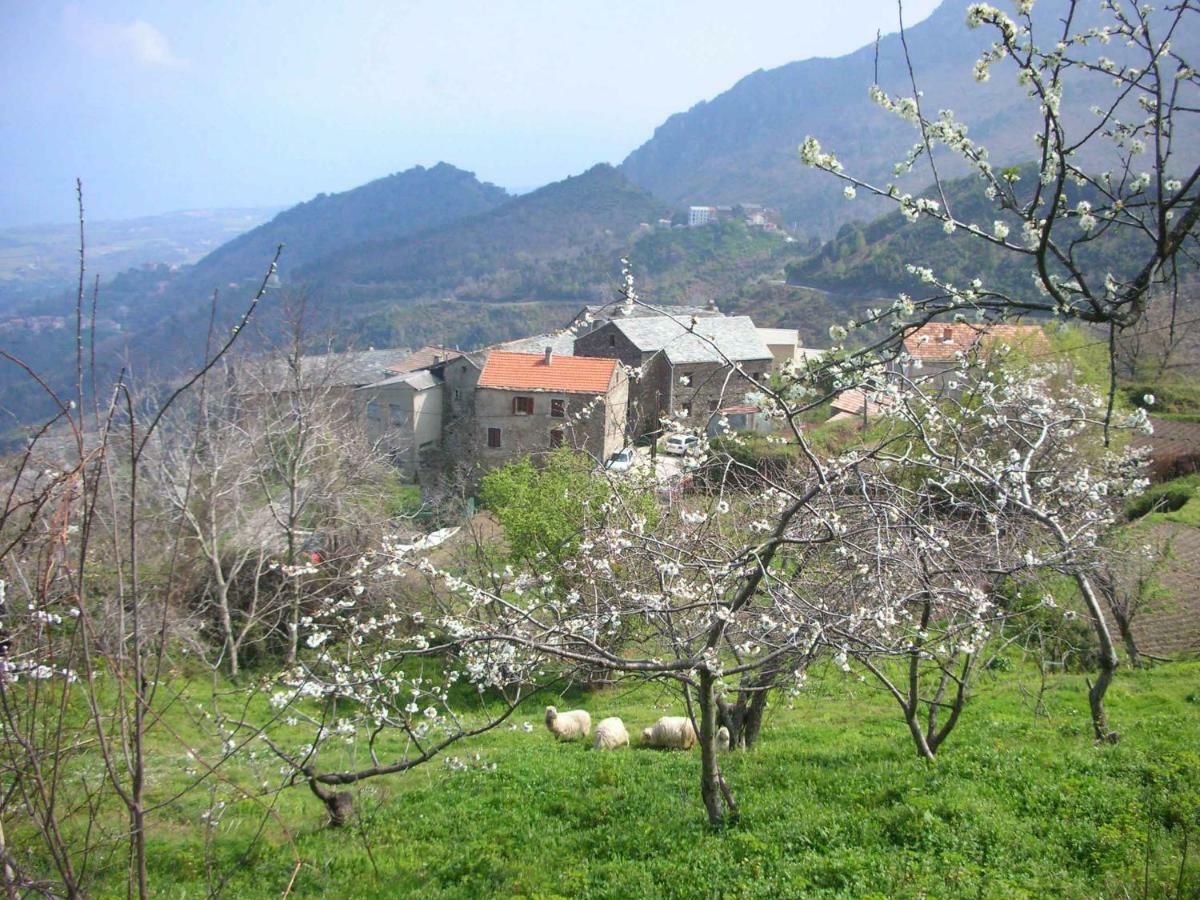 Sole E Ventu 50Qm Διαμέρισμα San-Giovanni-di-Moriani Εξωτερικό φωτογραφία